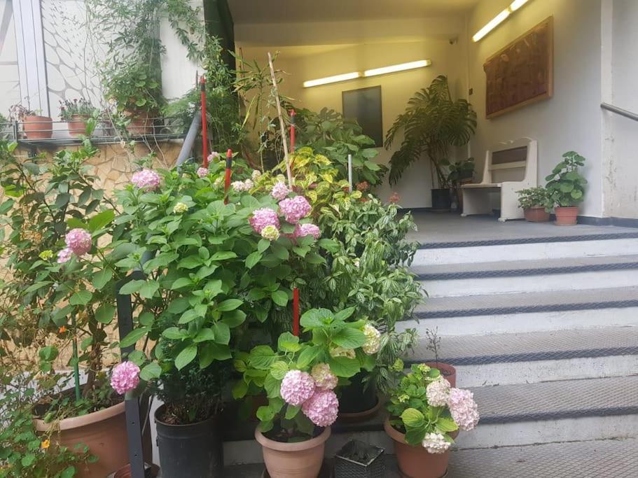 Appartement Pazari_ri_studio Tirana
